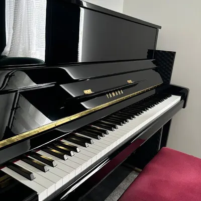 Musette - Prywatna Szkoła Muzyczna